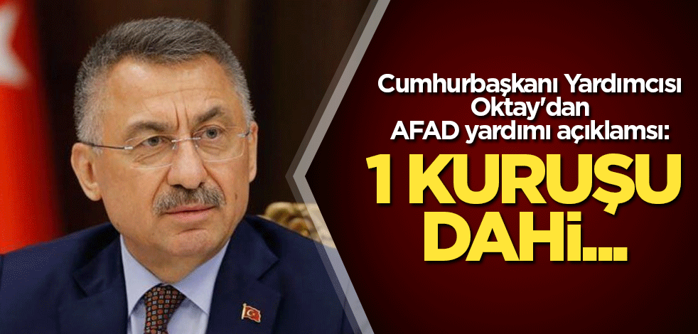 Cumhurbaşkanı Yardımcısı Oktay'dan AFAD yardımı açıklaması: 1 kuruşu dahi...