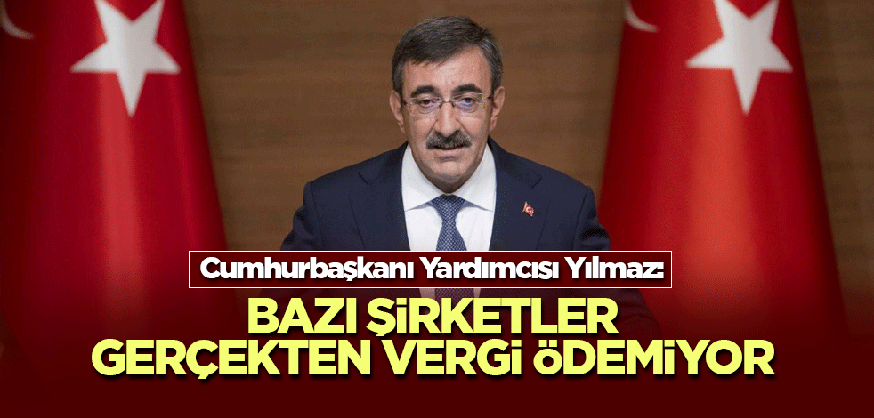 Cumhurbaşkanı Yardımcısı Yılmaz: Bazı şirketler gerçekten vergi ödemiyor