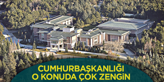 Cumhurbaşkanlığı ağaç zengini