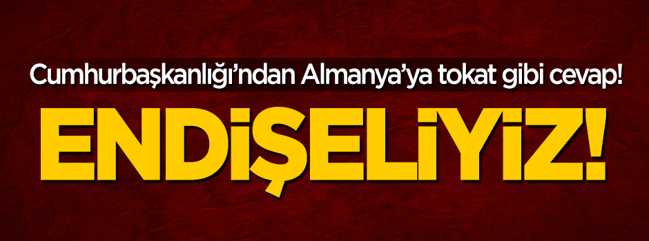 Cumhurbaşkanlığı Almanya'ya cevap: Endişeliyiz!