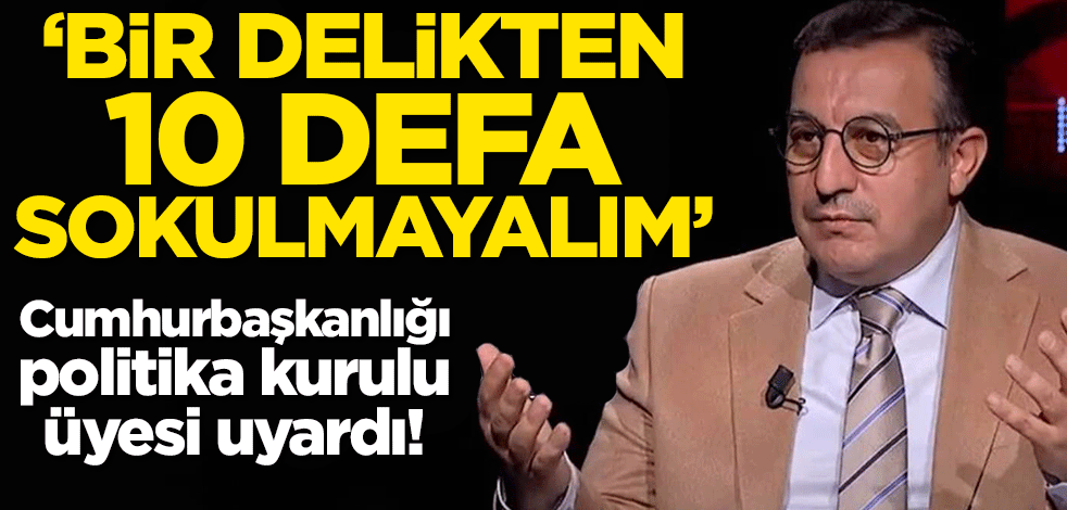 Cumhurbaşkanlığı politika kurulu üyesi uyardı! 'Bir delikten 10 defa sokulmayalım'
