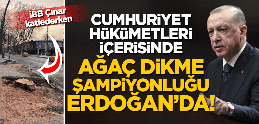 Cumhuriyet hükümetleri içerisinde ağaç dikme şampiyonluğu Erdoğan’da