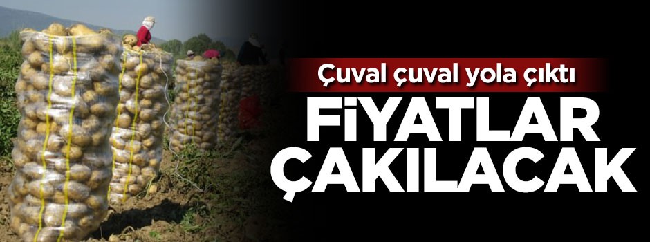 Çuval çuval yola çıktı! Fiyatlar düşecek