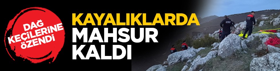 Dağ keçilerine özendi: Kayalıklarda mahsur kaldı