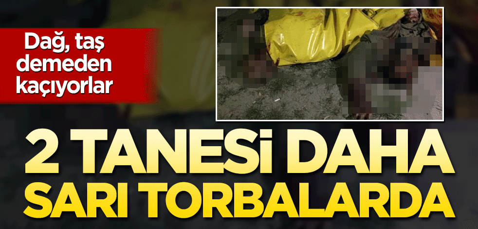 Dağ taş demeden kaçıyorlar! 2 tanesi daha sarı torbalarda