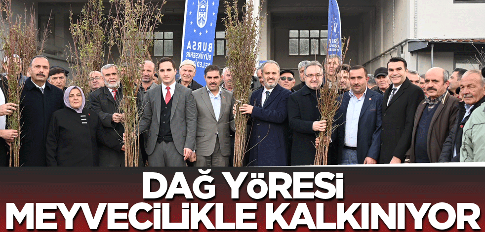 Dağ yöresi meyvecilikle kalkınıyor