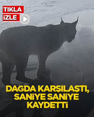 Dağda karşılaştı, saniye saniye kaydetti