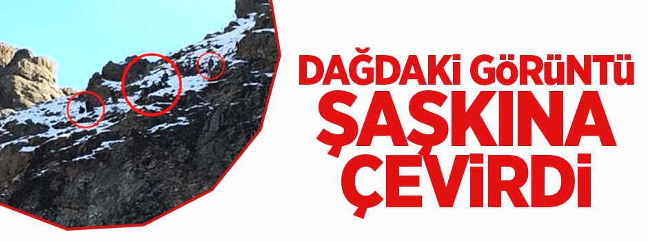 Dağdaki görüntü şaşkına çevirdi
