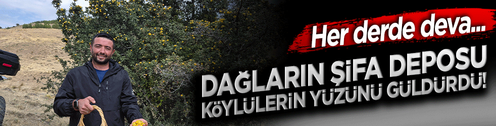 Dağların şifa deposu köylülerin yüzünü güldürdü! Her derde deva...