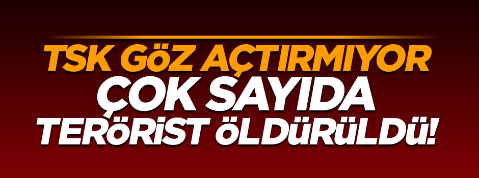 Dağlıca'da 7 terörist etkisiz hale getirildi