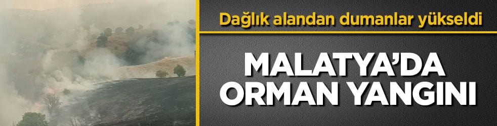 Dağlık alandan dumanlar yükseldi! Malatya’da orman yangını