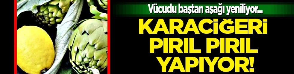  Daha iyisi yok... Vücudu baştan aşağı yeniliyor: Karaciğeri pırıl pırıl yapıyor! Bolu’da, enginar hasadı başladı