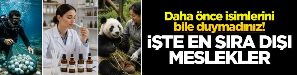 Daha &ouml;nce isimlerini bile duymadınız! İşte en sıra dışı meslekler