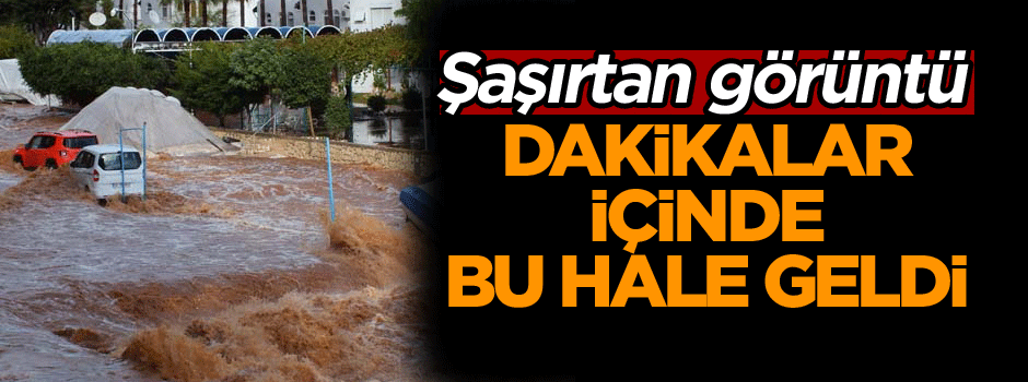 Dakikalar içinde bu hale geldi… Şaşırtan görüntü