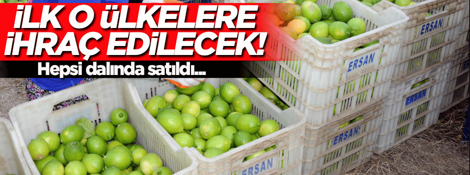 Dalında satıldı! İlk ürünler o ülkelere gidiyor...