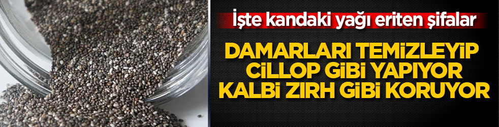 Damarları temizleyip cillop gibi yapıyor, kalbi zırh gibi koruyor! İşte kandaki yağı eriten şifalar