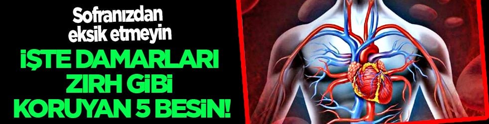 Damarları zırh gibi koruyan 5 besin! Uzm. Dyt. Selahattin Dönmez tek tek açıkladı: 