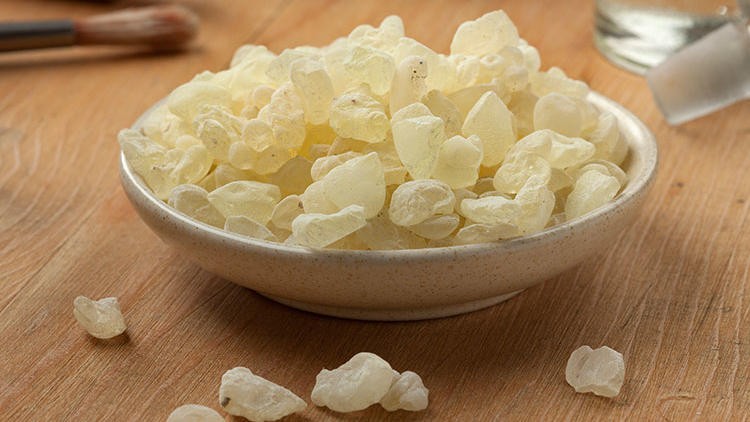 Damla sakızının faydaları nelerdir?