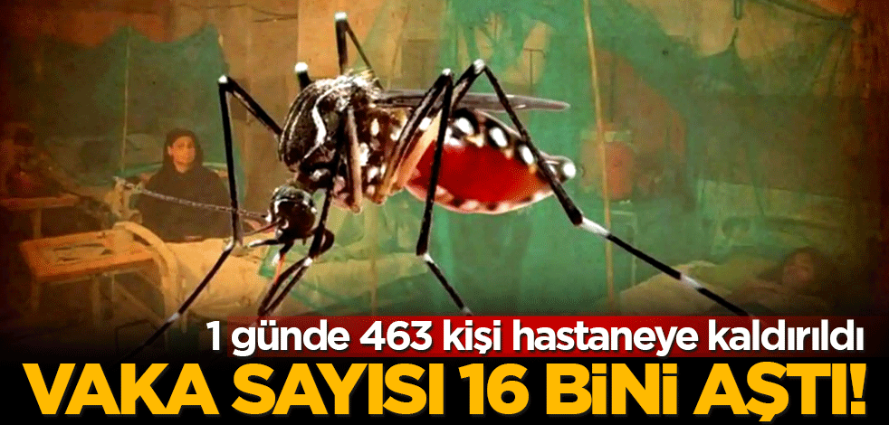 Dang humması yayılıyor! Vaka sayısı 16 bini aştı: 1 günde 463 kişi hastaneye kaldırıldı