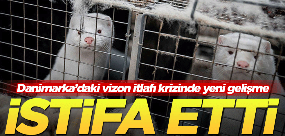 Danimarka'daki vizon itlafı krizinde yeni gelişme! Kritik isim istifa etti