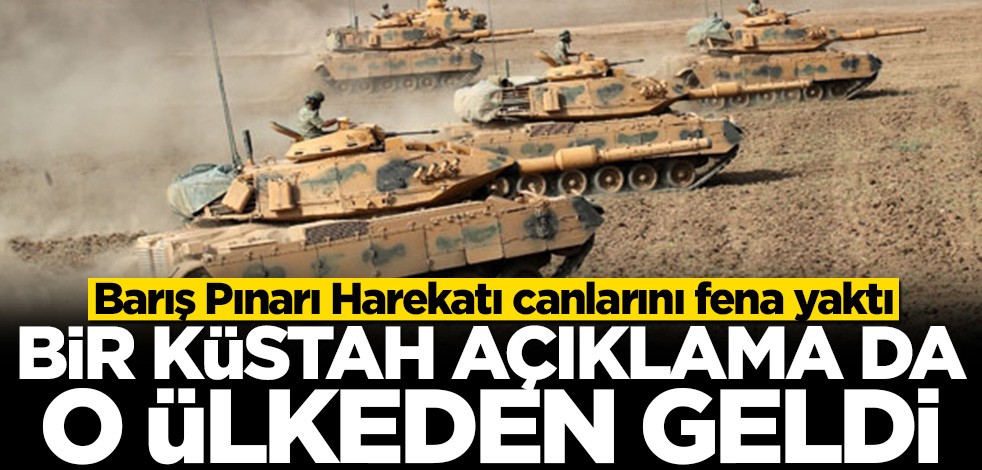 Danimarka'dan küstah Türkiye açıklaması
