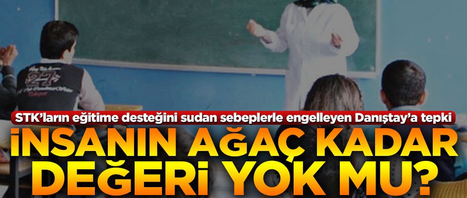 Danıştay’a göre insanın ağaç kadar değeri yok