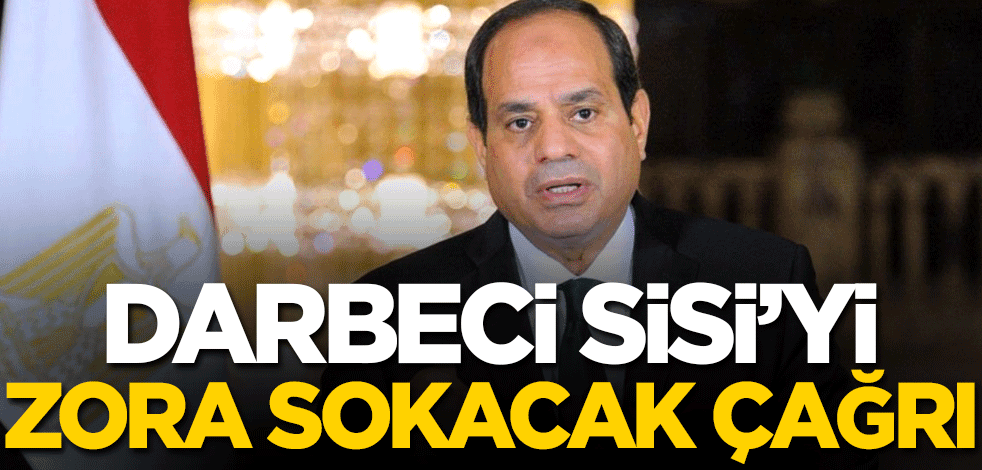 Darbeci Sisi'yi zora sokacak çağrı!