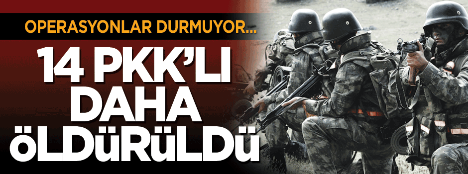 Dargeçit ve Nusaybin'de 14 terörist öldürüldü