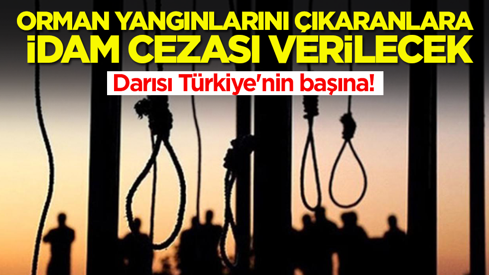 Darısı Türkiye'nin başına: Orman yangınlarını çıkaranlara idam cezası verilecek