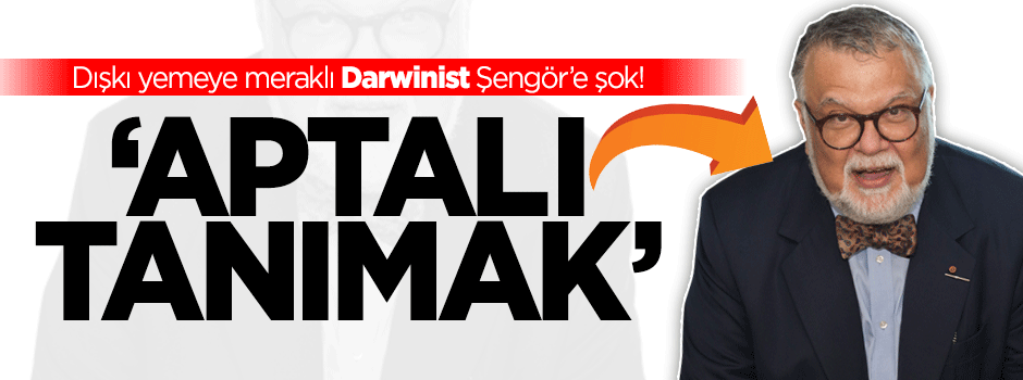 Darwinist Celal Şengör'e büyük şok!