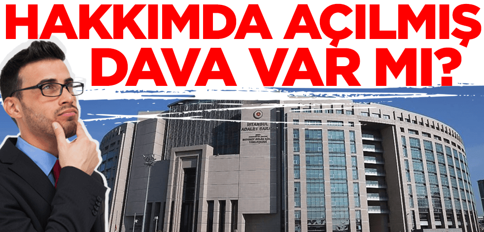 Dava var mı? edevlet gösterir mi