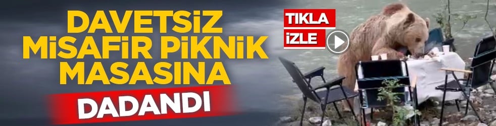 Davetsiz misafir piknik masasına dadandı