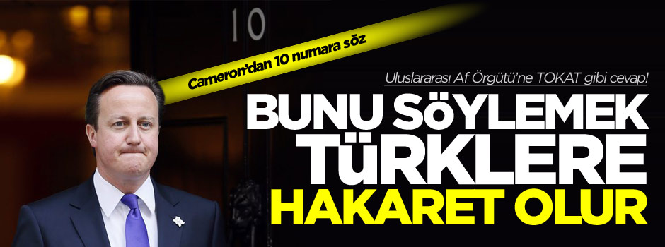 David Cameron: Bu Türklere hakaret olur
