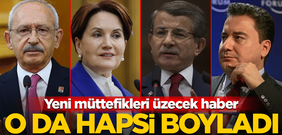 Davutoğlu, Babacan, Kılıçdaroğlu ve Akşener'i üzecek haber! Şevin Alaca tutuklandı