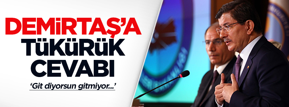 Davutoğlu'ndan Demirtaş'a tükürük cevabı