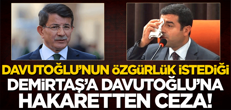 Davutoğlu'nun özgürlük istediği Demirtaş'a, Davutoğlu'na hakaretten ceza!