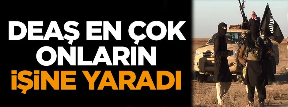 DEAŞ en çok onların işine yaradı!