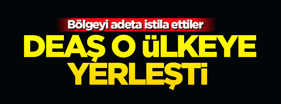 DEAŞ o bölgede adeta devlet kurdu