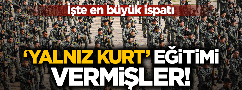 Teröristleri eğitmişler! 'Yalnız kurt' taktiği