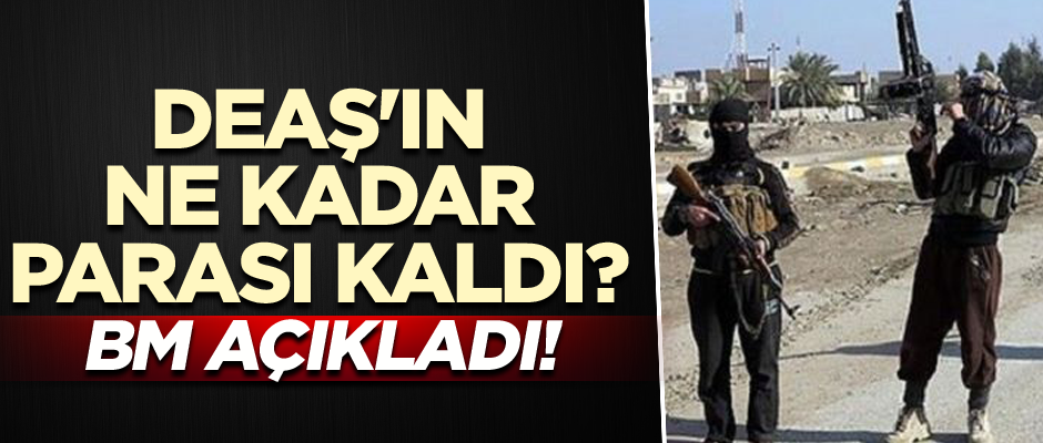 DEAŞ'ın ne kadar parası kaldı? BM açıkladı!