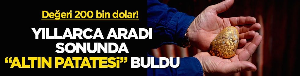 Değeri 200 bin dolar! Yıllarca aradı, sonunda "altın patatesi" buldu