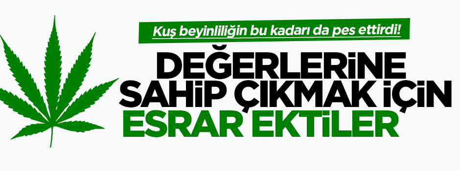 Değerlerine sahip çıkmak için esrar ektiler