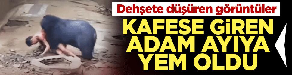 Dehşete düşüren görüntüler! Kafese giren adam ayıya yem oldu