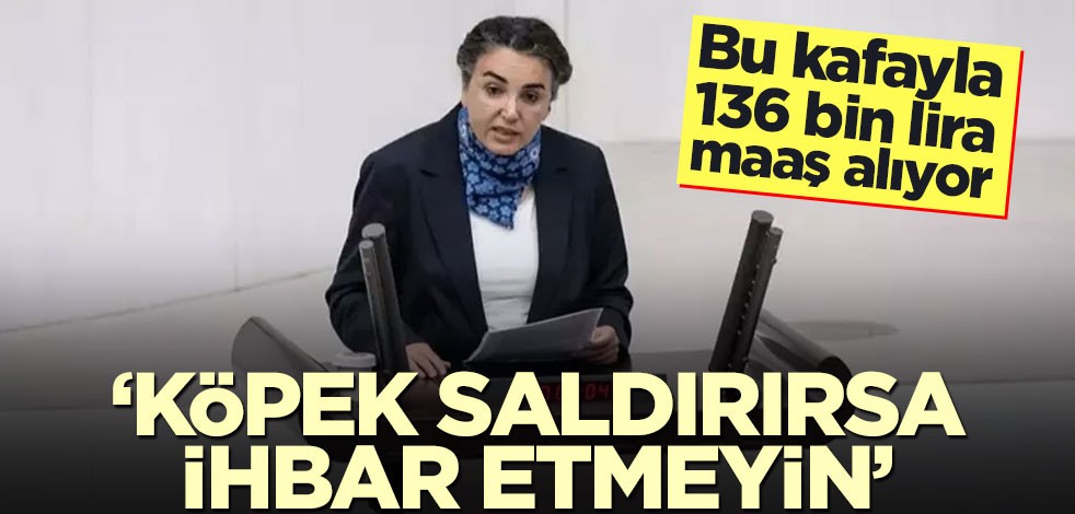 DEM Partili Çiçek Otlu: Köpek saldırırsa ihbar etmeyin