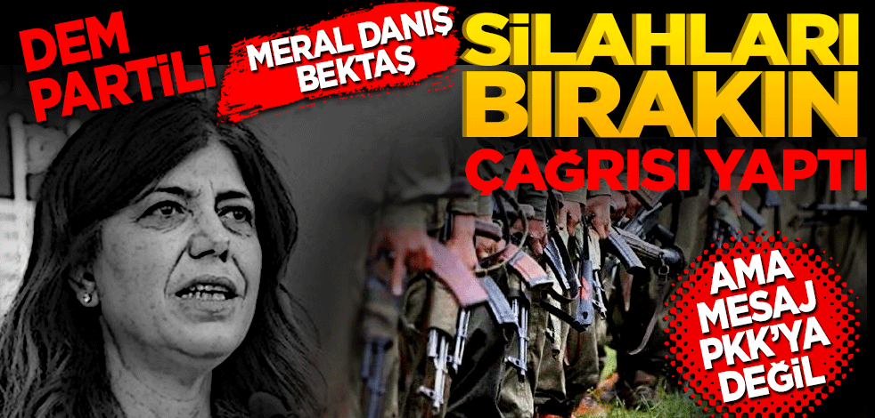 DEM partili Meral Danış "Silahları bırakın" çağrısı yaptı! Ama mesaj PKK’ya değil