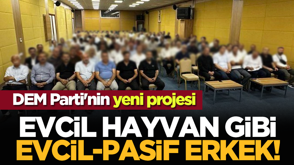 DEM Parti'nin yeni projesi: Evcil hayvan gibi evcil-pasif erkek!