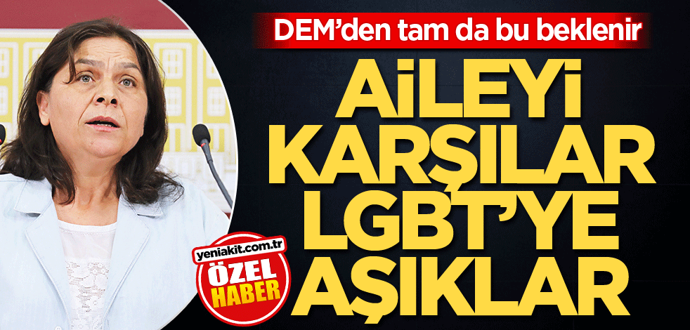 DEM’den tam da bu beklenir! Aileye karşılar LGBT’ye aşıklar!
