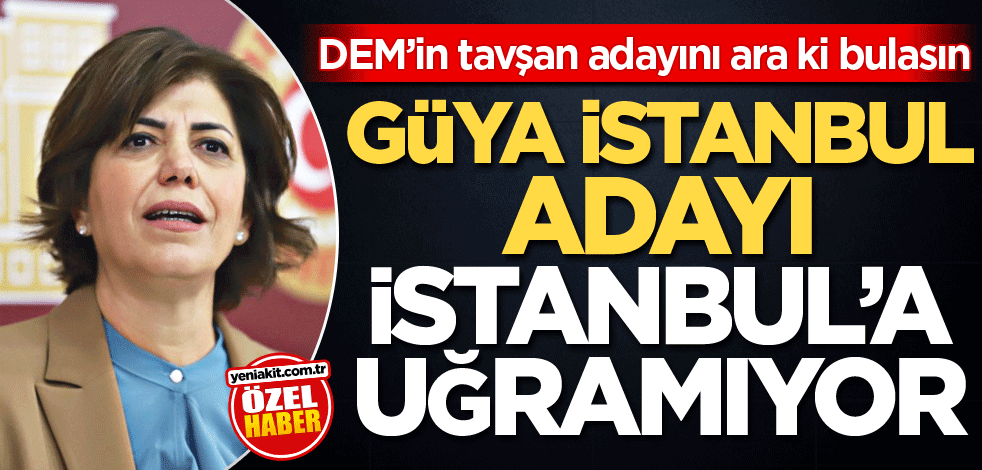 DEM’in tavşan adayını ara ki bulasın! Güya İstanbul adayı İstanbul’a uğramıyor
