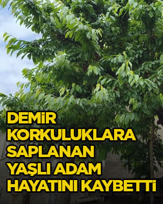 Demir korkuluklara saplanan yaşlı adam hayatını kaybetti