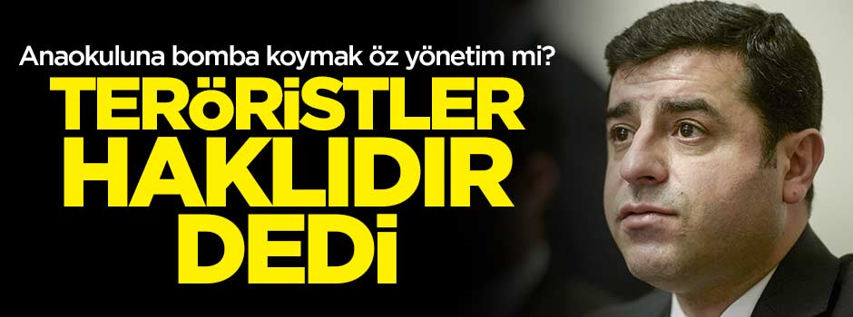 Demirtaş bombacı teröristleri haklı buldu
